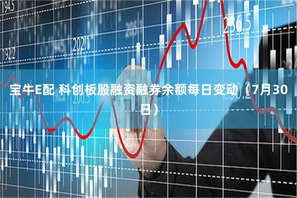 宝牛E配 科创板股融资融券余额每日变动（7月30日）