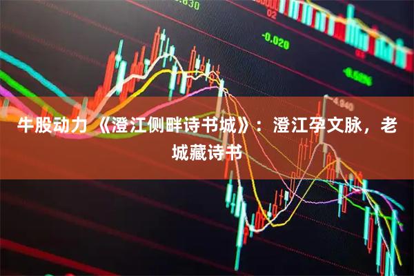 牛股动力 《澄江侧畔诗书城》：澄江孕文脉，老城藏诗书