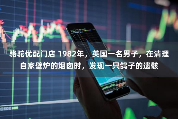 骆驼优配门店 1982年，英国一名男子，在清理自家壁炉的烟囱时，发现一只鸽子的遗骸