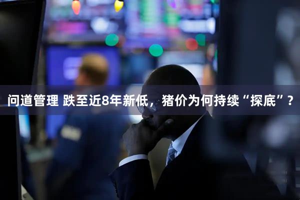 问道管理 跌至近8年新低，猪价为何持续“探底”？