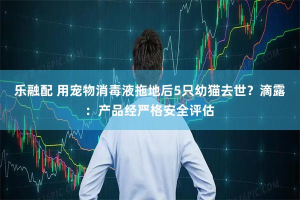 乐融配 用宠物消毒液拖地后5只幼猫去世？滴露：产品经严格安全评估